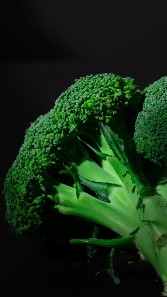 Close-up of fresh organic broccoli on a black background highlighting its texture and color.
